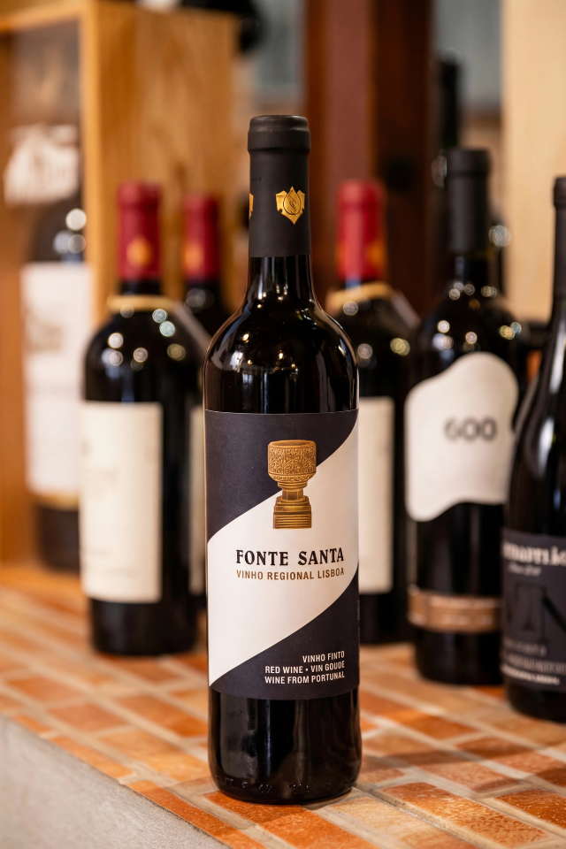 Vinho fonte santa